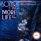 More Life (EuphoriQsouL's Touch) [feat. Tikwe] artwork