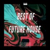 Best of Future House, Vol. 30, 2020