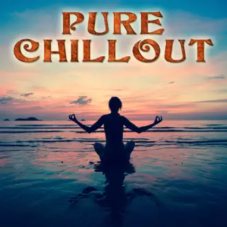 Pure Chillout by Various Artists album reviews, ratings, credits