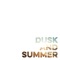 Dusk and Summer (Original Lyrics) - Dashboard Confessional lyrics