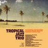 Tropical Jazz Trio, 2019