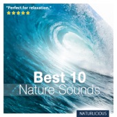 Sounds of Nature Relaxation artwork