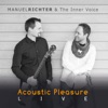 Acoustic Pleasure (Live)