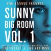 Sunny Big Room, Vol. 1