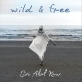 Wild & Free artwork