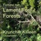 Lament for Forests - Krunchie Killeen lyrics
