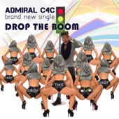 Drop the Boom artwork