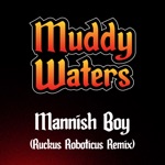 Muddy Waters - Mannish Boy