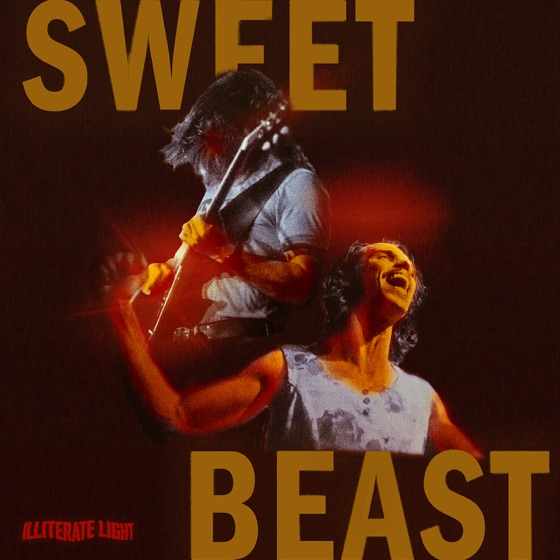 Cover artwork for Nuthin's Fair