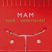 Look: Nederlands! artwork