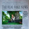 The Real Fake News (feat. CelloJoe & Yogi Prateado) [Instrumental] - Single album lyrics, reviews, download