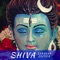Shri Tulja Shankar Stavan - Vinod Rathod & Ram Shankar lyrics