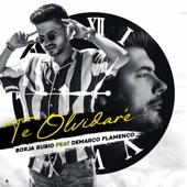 Te Olvidaré (feat. Demarco Flamenco) artwork