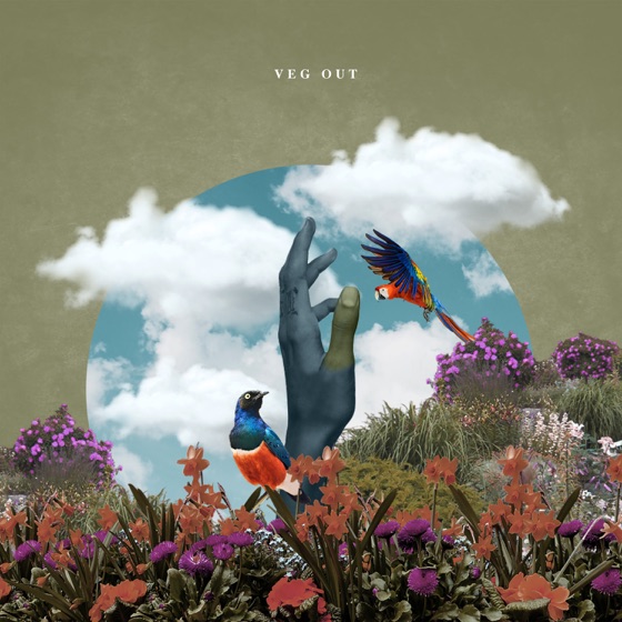Cover artwork for Veg Out (Wasting Thyme)