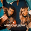 Sambătă Seara (feat. Smiley) - Single, 2020