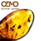 Ethnic Jungle - OZMO lyrics