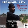 Arizona's Protege