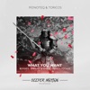 What You Want (The Remixes) - Single