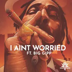 I Ain't Worried - Single by The Goat Farm album reviews, ratings, credits