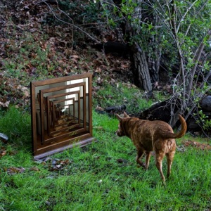 Mirror River - EP