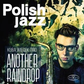 Another Raindrop: Polish Jazz, Vol. 78 artwork