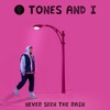 Never Seen the Rain by Tones and I iTunes Track 1