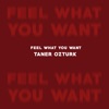 Feel What You Want - Single