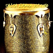 Salsa Brava, Vol. 1 artwork