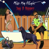 Miss My Flight (feat. Vidal Garcia) artwork