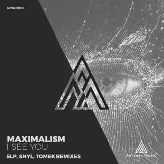 I See You Remixes - Single by Maximalism, SNYL & SLP album reviews, ratings, credits