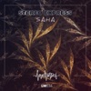 Stereo Express - Saha