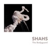 Shahs - Nothing Was Delivered