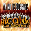 Ya No Te Buscare - Single