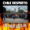 Chile Desperto artwork