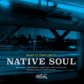 Native Soul - Sleepwalk