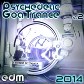 Psychedelic Goa Trance 2014, Vol. 2 artwork