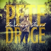 Pete Droge - Fading Fast