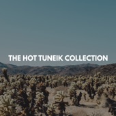 The Hot TuneiK Collection artwork