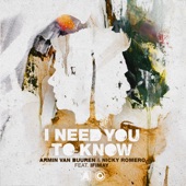 I Need You to Know (feat. Ifimay) artwork