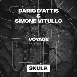 Voyage - Single by Dario D'Attis & Simone Vitullo album reviews, ratings, credits