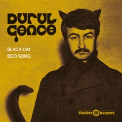 BLACK CAT cover art