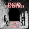Born from Dawn - Single