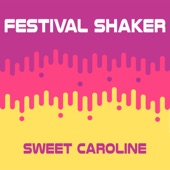 Sweet Caroline (Instrumental) artwork