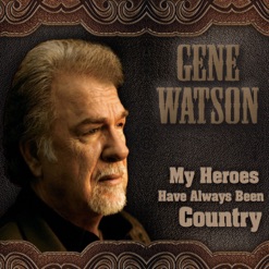 MY HEROES HAVE ALWAYS BEEN COUNTRY cover art