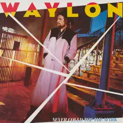 Never Could Toe the Mark - Waylon Jennings