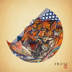 Awoke by Random Rab album reviews, ratings, credits