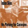 Indian Skies - Single album lyrics, reviews, download