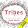 Seth Godin - Tribes: We Need You to Lead Us (Unabridged)