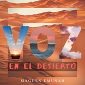 Voz en el Desierto artwork