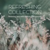 Refreshing Collection - Relaxing Jazz with Nature Background, Wonderful Time with Piano Jazz